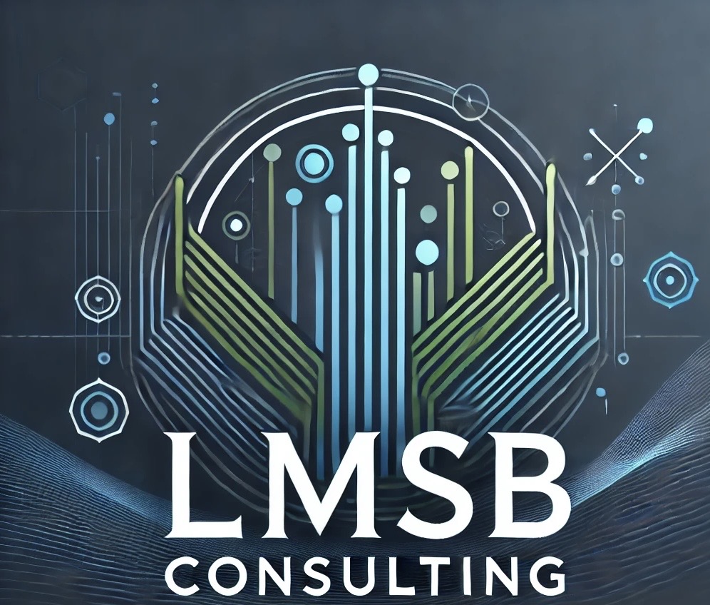 LMSB Consulting